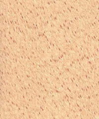 水性木器漆与沈阳饰壁涂料 环保与品质的完美融合